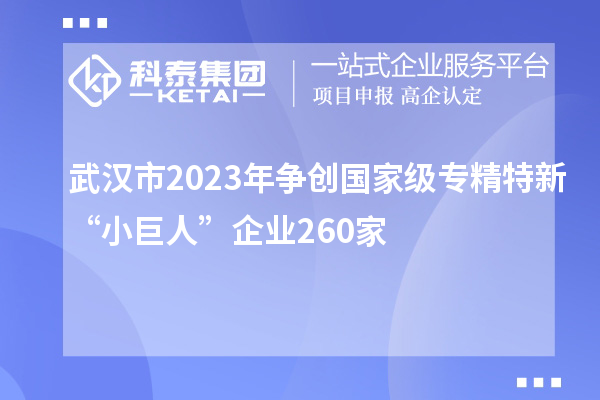武漢市2023年?duì)巹?chuàng)國家級(jí)專精特新“小巨人”企業(yè)260家