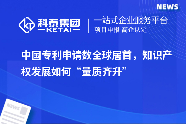 中國專利申請數(shù)全球居首，知識(shí)產(chǎn)權(quán)發(fā)展如何“量質(zhì)齊升”