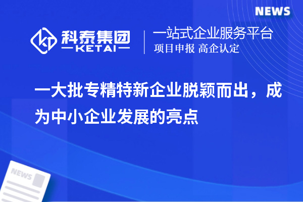 一大批專精特新企業(yè)脫穎而出，成為中小企業(yè)發(fā)展的亮點