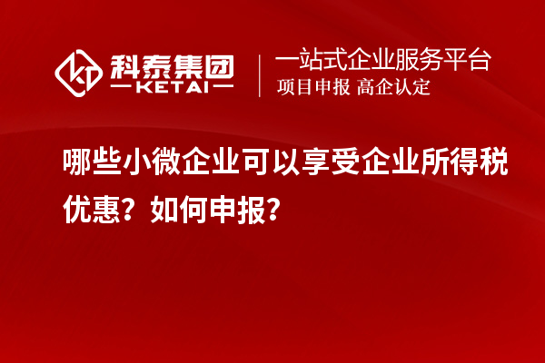 哪些小微企業(yè)可以享受企業(yè)所得稅優(yōu)惠？如何申報？