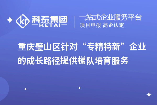 重慶璧山區(qū)針對“專精特新”企業(yè)的成長路徑提供梯隊培育服務