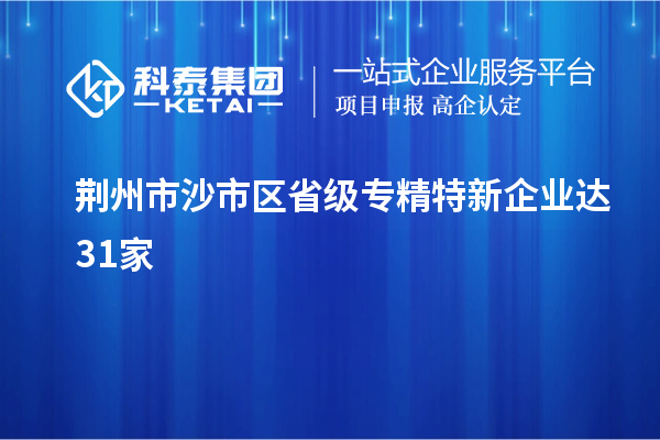 荊州市沙市區(qū)省級專精特新企業(yè)達31家