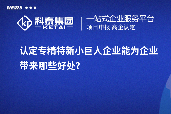 認定專精特新小巨人企業(yè)能為企業(yè)帶來哪些好處？