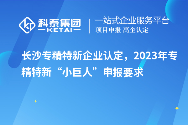 長(zhǎng)沙專(zhuān)精特新企業(yè)認(rèn)定，2023年專(zhuān)精特新“小巨人”申報(bào)要求