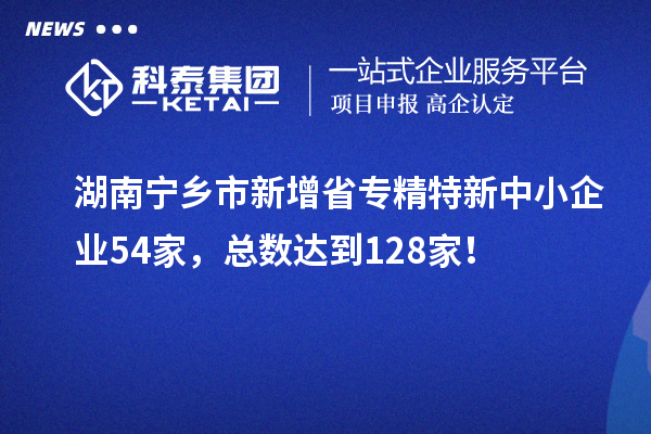 湖南寧鄉(xiāng)市新增省專精特新中小企業(yè)54家，總數(shù)達(dá)到128家！