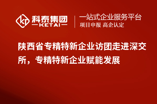 陜西省專精特新企業(yè)訪團(tuán)走進(jìn)深交所，專精特新企業(yè)賦能發(fā)展