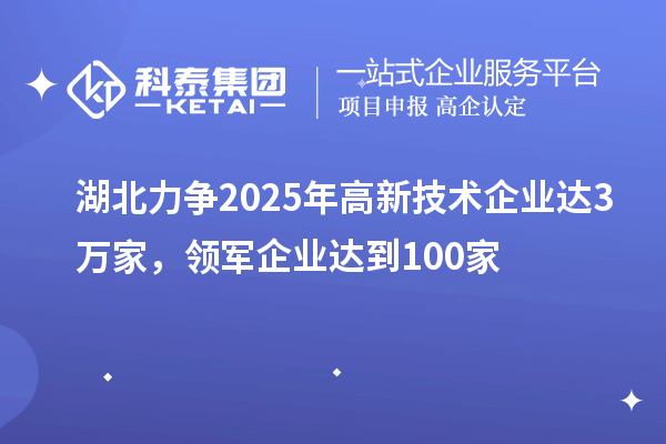 湖北力爭2025年高新技術企業(yè)達3萬家，領軍企業(yè)達到100家