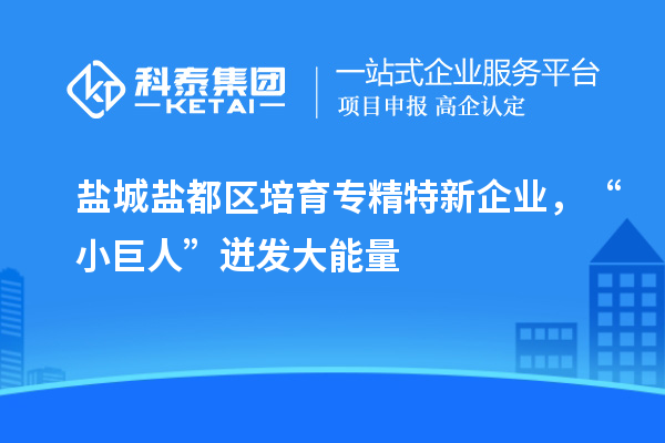 鹽城鹽都區(qū)培育專精特新企業(yè)，“小巨人”迸發(fā)大能量