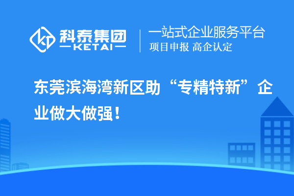 東莞濱海灣新區(qū)助“專精特新”企業(yè)做大做強(qiáng)！