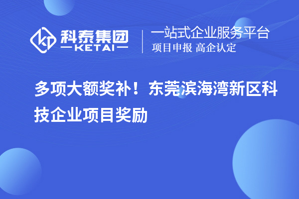 多項大額獎補(bǔ)！東莞濱海灣新區(qū)科技企業(yè)項目獎勵