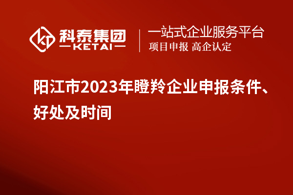 陽(yáng)江市2023年瞪羚企業(yè)申報(bào)條件、好處及時(shí)間