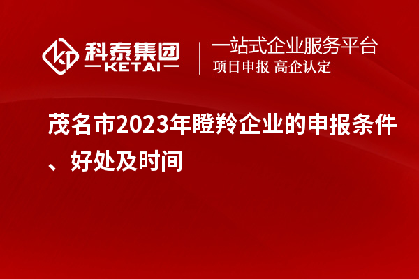 茂名市2023年瞪羚企業(yè)的申報條件、好處及時間