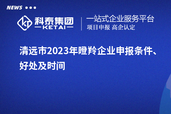 清遠市2023年瞪羚企業(yè)申報條件、好處及時間