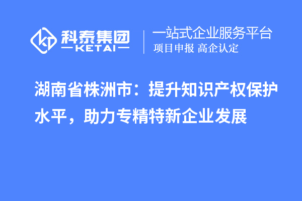 湖南省株洲市：提升知識產(chǎn)權(quán)保護水平，助力專精特新企業(yè)發(fā)展
