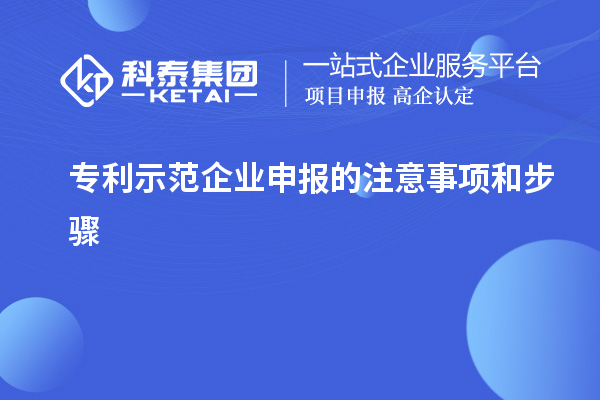 專利示范企業(yè)申報的注意事項(xiàng)和步驟