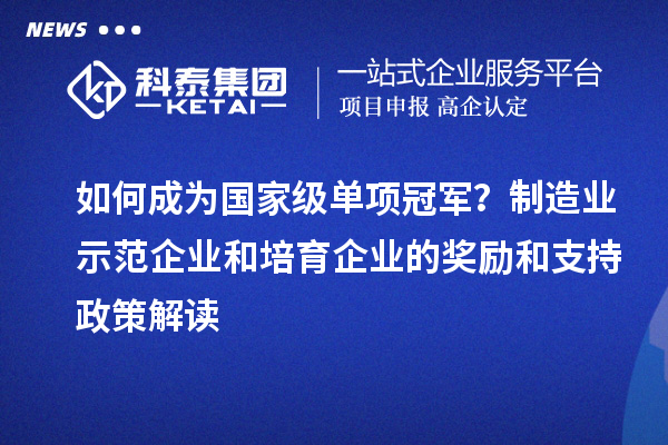 如何成為國家級單項冠軍？制造業(yè)示范企業(yè)和培育企業(yè)的獎勵和支持政策解讀
