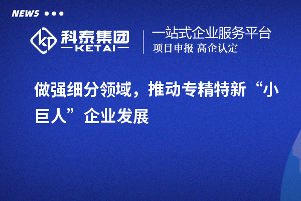 做強細分領(lǐng)域，推動專精特新“小巨人”企業(yè)發(fā)展