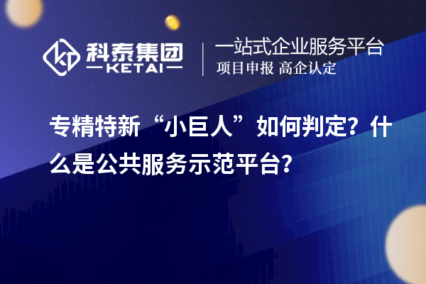 專精特新“小巨人”如何判定？什么是公共服務(wù)示范平臺(tái)？