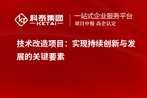 技術(shù)改造項(xiàng)目的核心要素：推動持續(xù)創(chuàng)新與發(fā)展的關(guān)鍵因素探討		 		