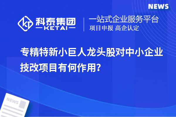 專精特新小巨人龍頭股對中小企業(yè)技改項目有何作用？