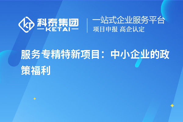 服務(wù)專精特新項目：中小企業(yè)的政策福利