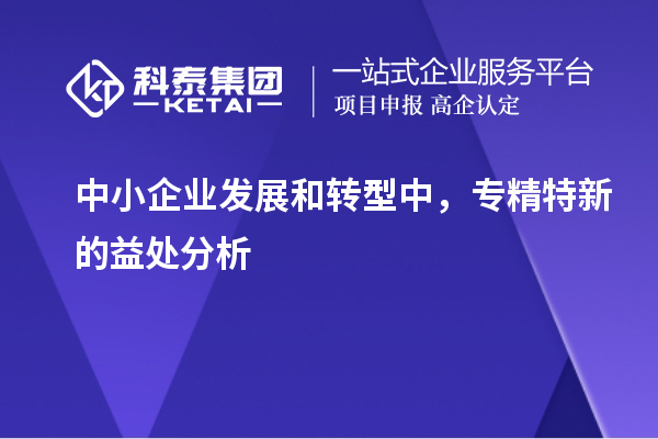 中小企業(yè)發(fā)展和轉(zhuǎn)型中，專精特新的益處分析		 		