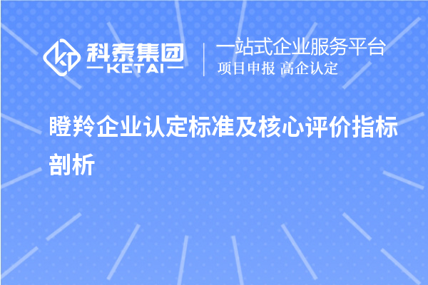 <a href=http:///fuwu/dengling.html target=_blank class=infotextkey>瞪羚企業(yè)認(rèn)定</a>標(biāo)準(zhǔn)及核心評價指標(biāo)剖析		 		