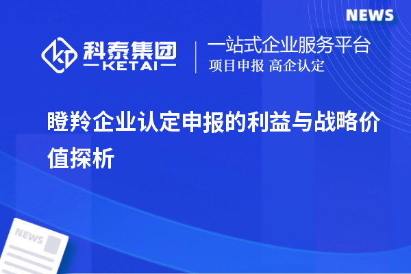 <a href=http:///fuwu/dengling.html target=_blank class=infotextkey>瞪羚企業(yè)認(rèn)定</a>申報(bào)的利益與戰(zhàn)略價(jià)值探析		 		