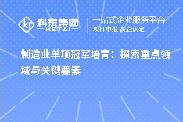 制造業(yè)單項冠軍培育：探索重點領域與關鍵要素