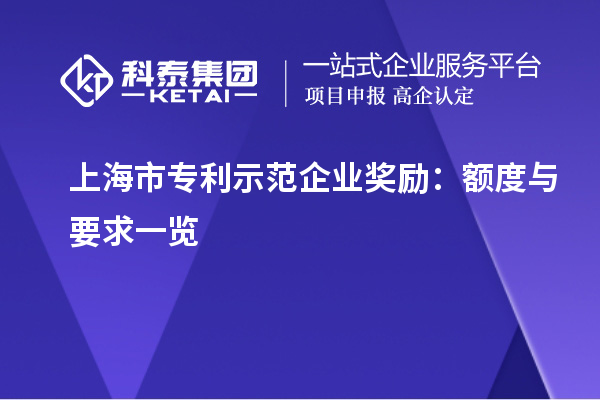 上海市專利示范企業(yè)獎(jiǎng)勵(lì)：額度與要求一覽