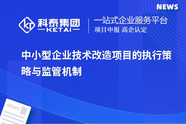  中小型企業(yè)技術改造項目的執(zhí)行策略與監(jiān)管機制 		