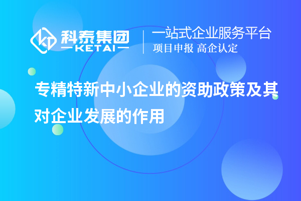 專精特新中小企業(yè)的資助政策及其對(duì)企業(yè)發(fā)展的作用