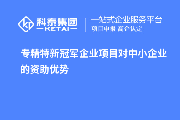 專精特新冠軍企業(yè)項(xiàng)目對中小企業(yè)的資助優(yōu)勢