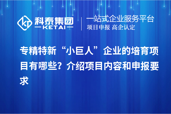專精特新“小巨人”企業(yè)的培育項目有哪些？介紹項目內(nèi)容和申報要求