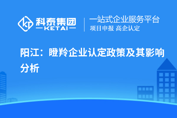 陽(yáng)江：瞪羚企業(yè)認(rèn)定政策及其影響分析