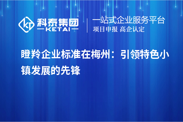 瞪羚企業(yè)標準在梅州：引領特色小鎮(zhèn)發(fā)展的先鋒