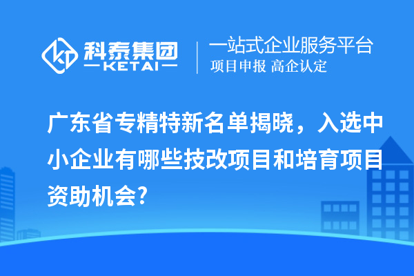 廣東省專精特新名單揭曉，入選中小企業(yè)有哪些技改項目和培育項目資助機(jī)會?