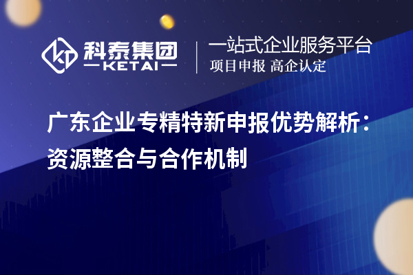 廣東企業(yè)專精特新申報(bào)優(yōu)勢(shì)解析：資源整合與合作機(jī)制