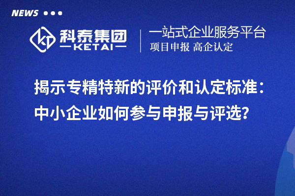 揭示專精特新的評價和認(rèn)定標(biāo)準(zhǔn)：中小企業(yè)如何參與申報與評選？
