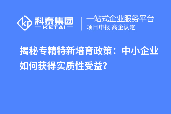 揭秘專精特新培育政策：中小企業(yè)如何獲得實質(zhì)性受益？