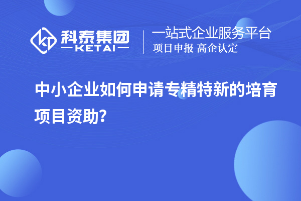 中小企業(yè)如何申請(qǐng)專精特新的培育項(xiàng)目資助？
