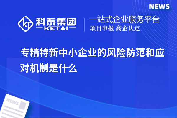 專精特新中小企業(yè)的風(fēng)險防范和應(yīng)對機(jī)制是什么