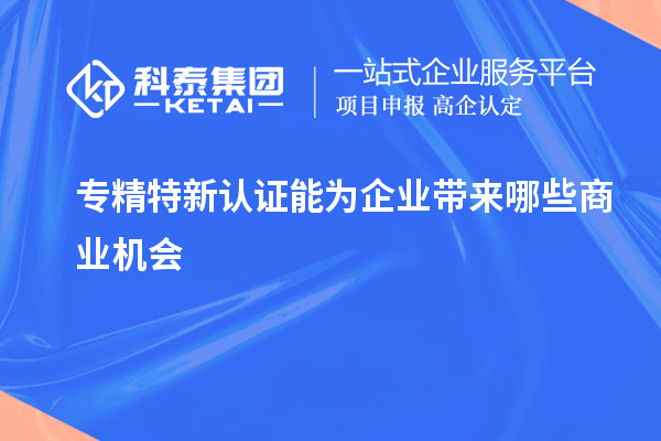 專精特新認(rèn)證能為企業(yè)帶來哪些商業(yè)機(jī)會