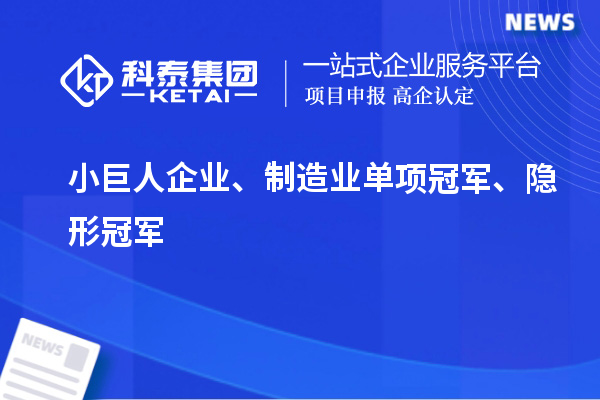 小巨人企業(yè)、制造業(yè)單項(xiàng)冠軍、隱形冠軍