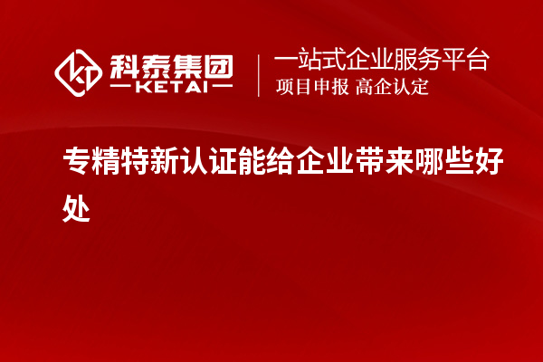 專(zhuān)精特新認(rèn)證能給企業(yè)帶來(lái)哪些好處