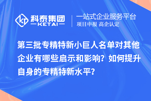 第三批專精特新小巨人名單對其他企業(yè)有哪些啟示和影響？如何提升自身的專精特新水平？