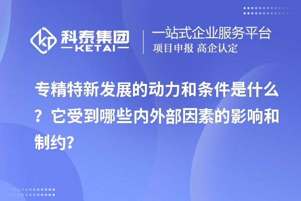 專精特新發(fā)展的動(dòng)力和條件是什么？它受到哪些內(nèi)外部因素的影響和制約？