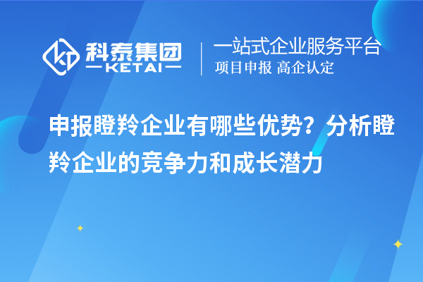 申報(bào)瞪羚企業(yè)有哪些優(yōu)勢(shì)？分析瞪羚企業(yè)的競(jìng)爭(zhēng)力和成長(zhǎng)潛力