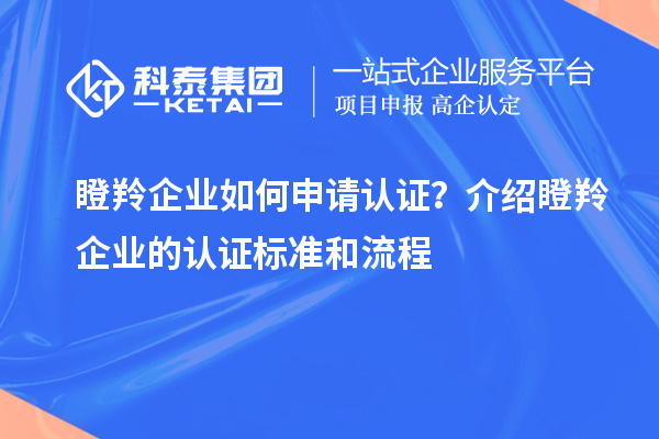 瞪羚企業(yè)如何申請認證？介紹瞪羚企業(yè)的認證標準和流程