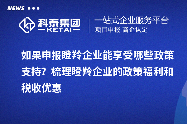 如果申報(bào)瞪羚企業(yè)能享受哪些政策支持？梳理瞪羚企業(yè)的政策福利和稅收優(yōu)惠